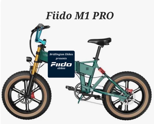 Not dropship fiido m1 - we,